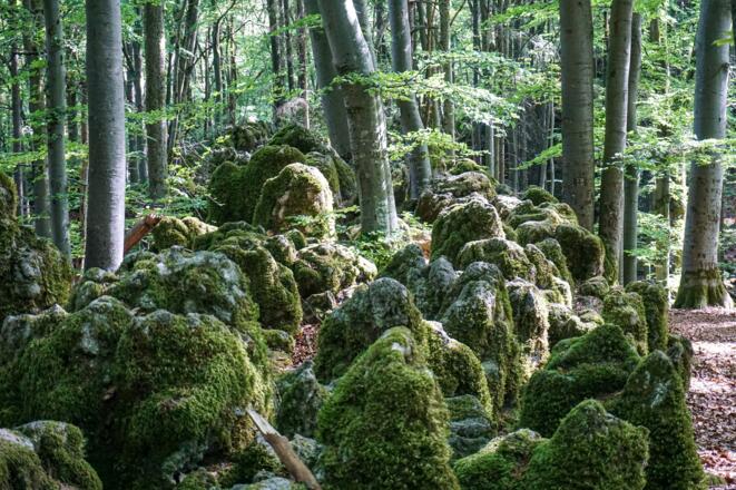 Landschaftlich wunderschöne Passage am Eibengrat