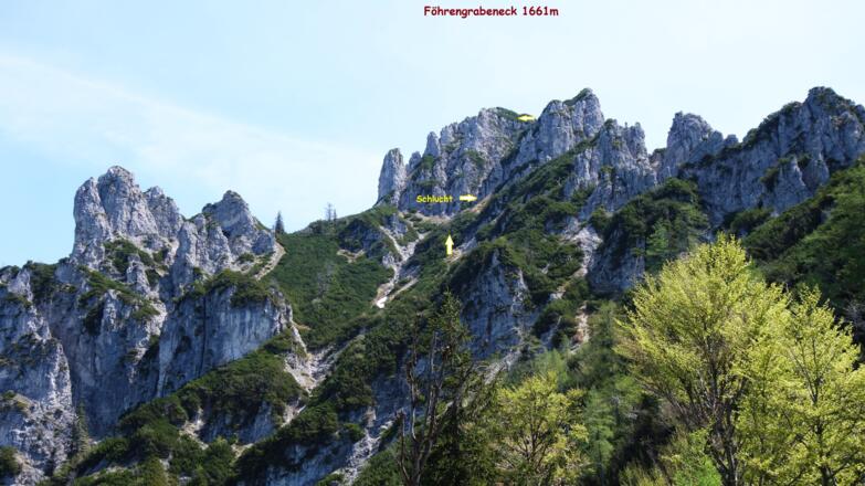Anstiegsroute vom Schneiderberg gesehen