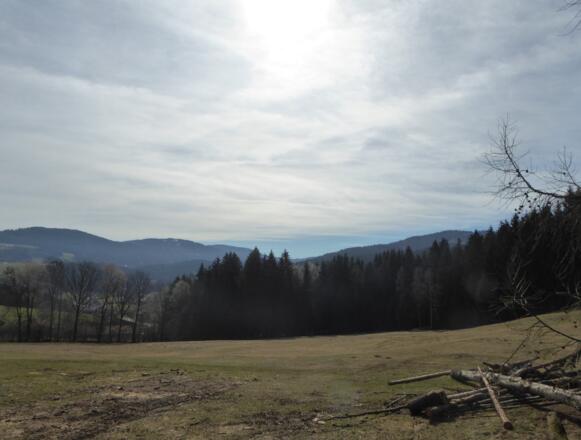 auch im Tal hat es eine schöne Aussicht