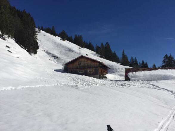 Südliche Lauchalpe 1420m