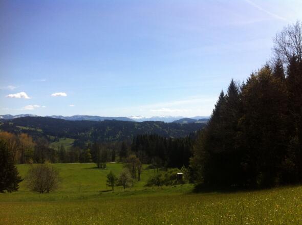 Blick von  der Schweineburg