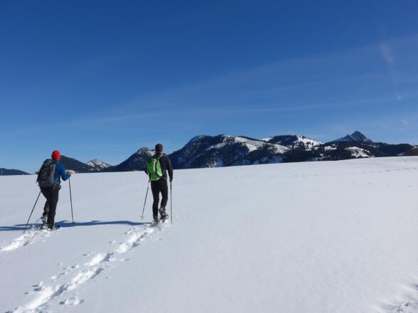 Der Traum aller Schneeschuhgeher