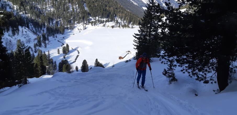 ... und anschließend steil durch eine Lichtung aufwärts, wo man auf den Wanderweg zur Zirmachalm trifft.