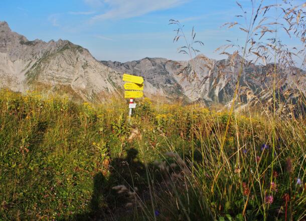 Am Jägerruhjöchel (1894m) zwischen Soiernspitze und Gumpenkarspitze