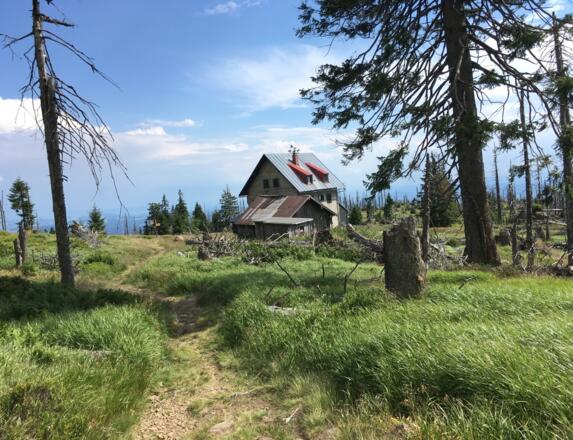 Waldschmidthaus am Rachel