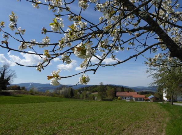 Es ist Frühling!