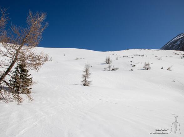 Schöner Gipfelhang am Hohen Laafeld.