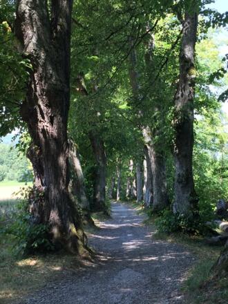 Nach dem Buchheim Museum schlechter Weg abwärts.