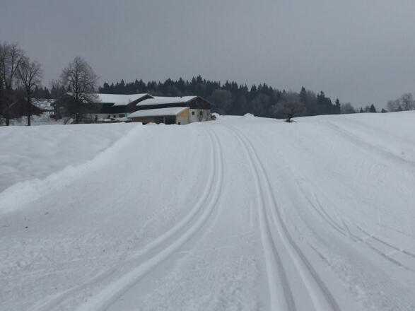 Hier wird's schon steiler.