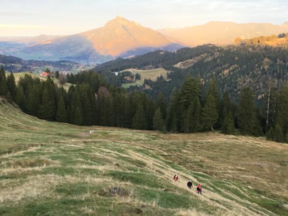 Blick von der Alpe Birkach zum Grünten