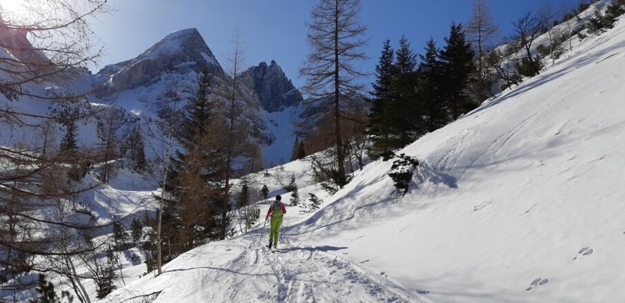 ... und gibt den Blick in den Talgrund frei. Im Hintergrund der Gschnitzer Tribulaun (2946 m) und - rechts - der Pflerscher Tribulaun (3097 m).