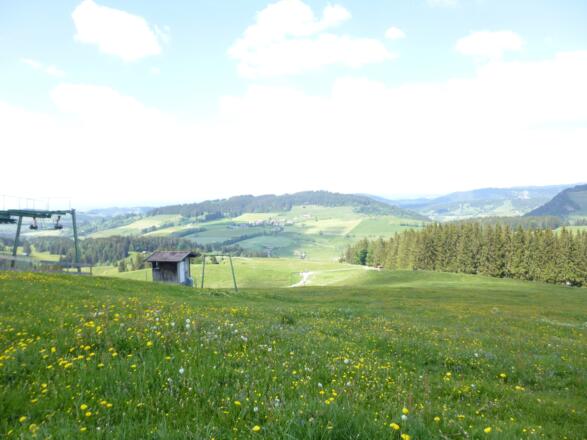 Thalerhöhe - Blick zum Skilift