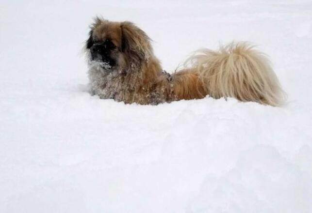 Fewo Löffler   Haus Tina