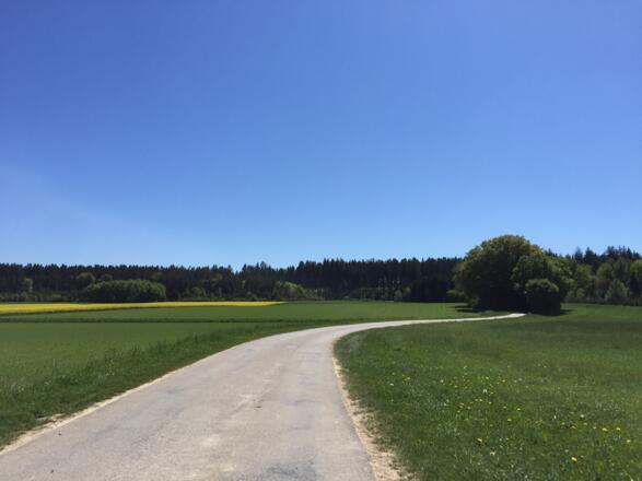 Von Buchendorf Richtung Wangen