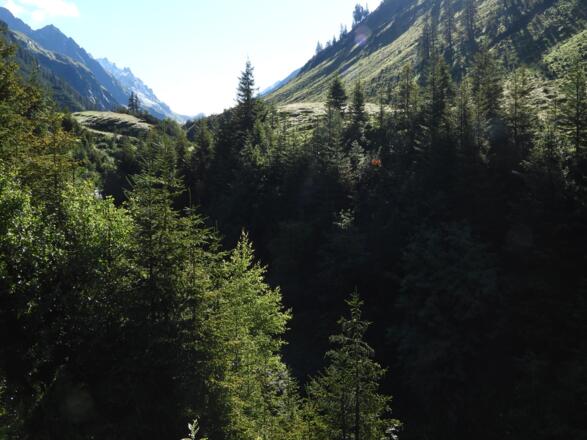 Das wunderschöne Gafluntal