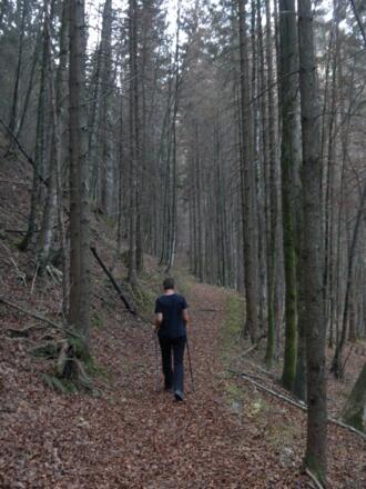 herbstlicher Karrenweg