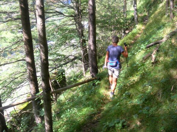 steiler Hochwald