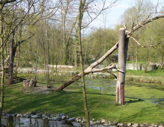 Tierpark Straubing