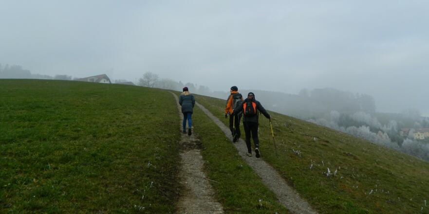 Aufstieg Stifter-Weg