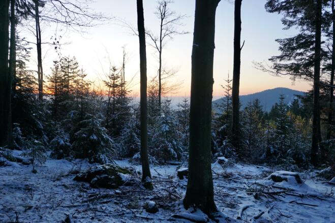 Riedelstein im An- oder Abstieg vom Mühlriegel