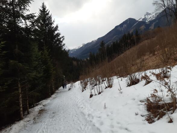 schöne Wanderwege nach Hinterstoder