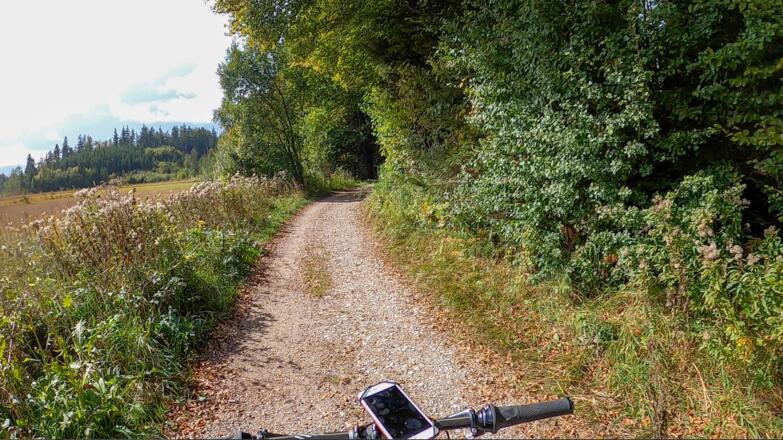 Entlang der Kirchsee Moore