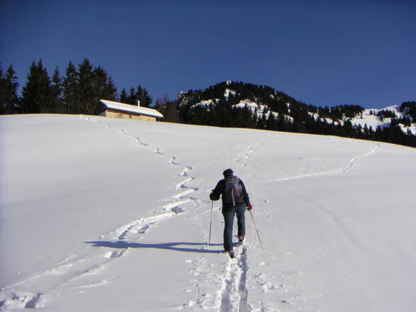 Ager-Gschwendalm