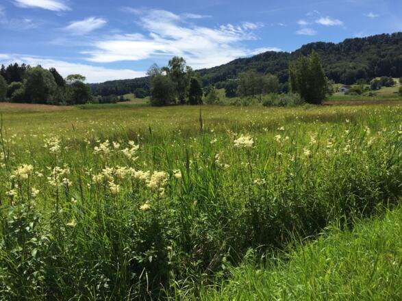 Beim Zellsee