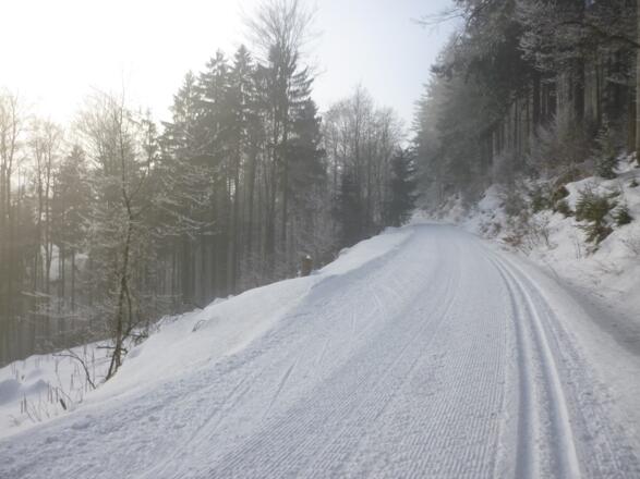Flachstück nach rassanter Abfahrt