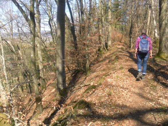 an der Salzach Terrassenkante