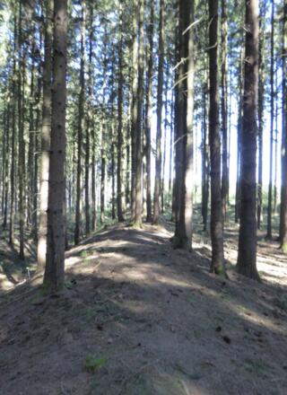 Viereckschanze - Vordere Schanze - Ringwall