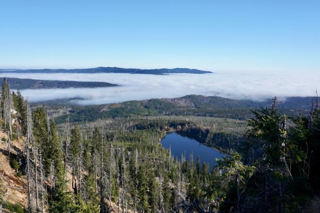 Blick zum Plöckensteinsee im Abstieg zum See