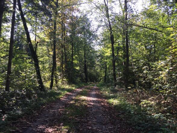 Richtung Grubmühl, schlechter Weg