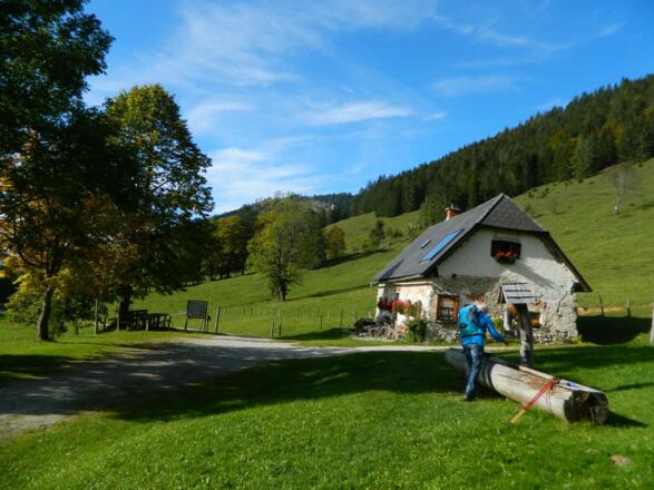 Spitzenbergalm am Hengstpass