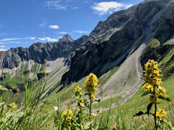 Blick auf den letzten Wegabschnitt vom Himmelecksattel zum Prinz-Luitpold-Haus