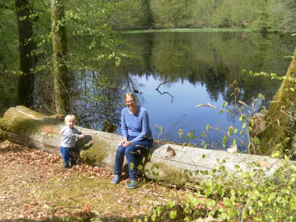 Huckinger See