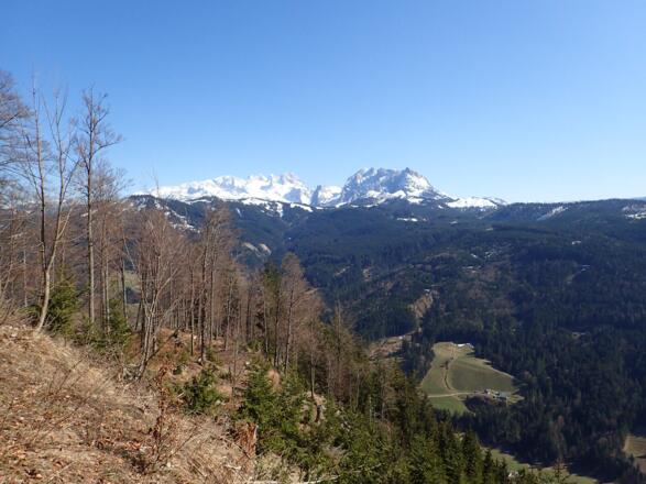 Dachstein - steter Blickfang