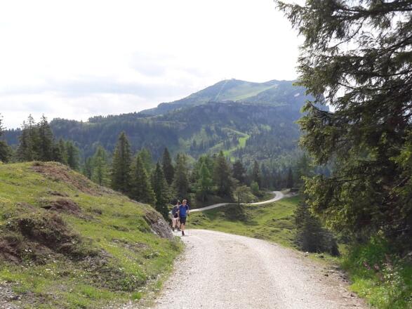 Weg zum Parkplatz Steinplatte