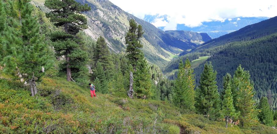 ... erfordert etwas Konzentration, den Weg zu finden.