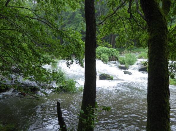 Wehr mit Wasserfall an der Schwarzach