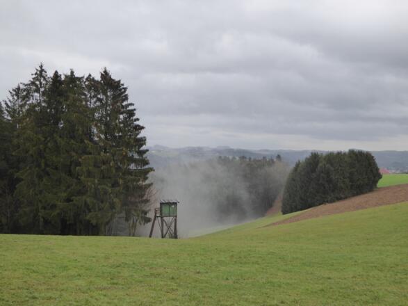 schöne Weitsicht bei Willersberg