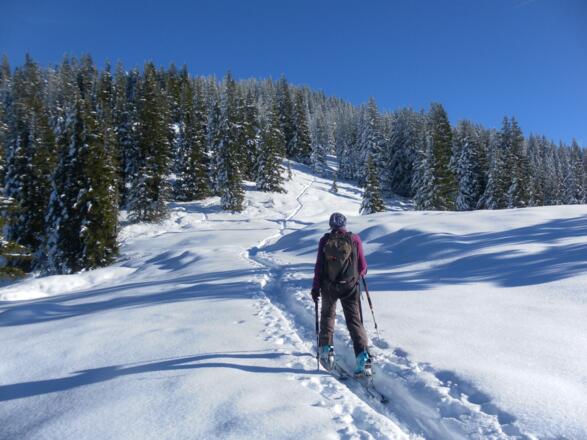 Schneeberg Westrücken