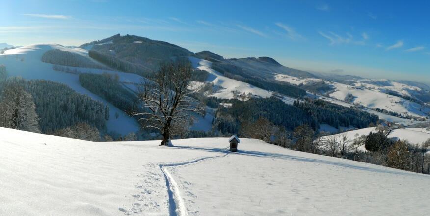 Blick vom Briefberg zum Glasenberg