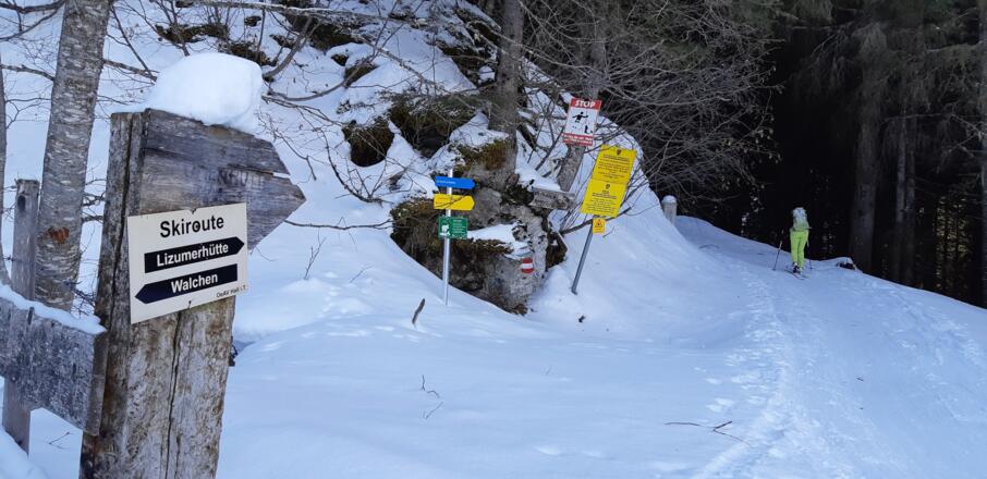... wieder in den dichten Wald - bequem auf einer Forststraße.