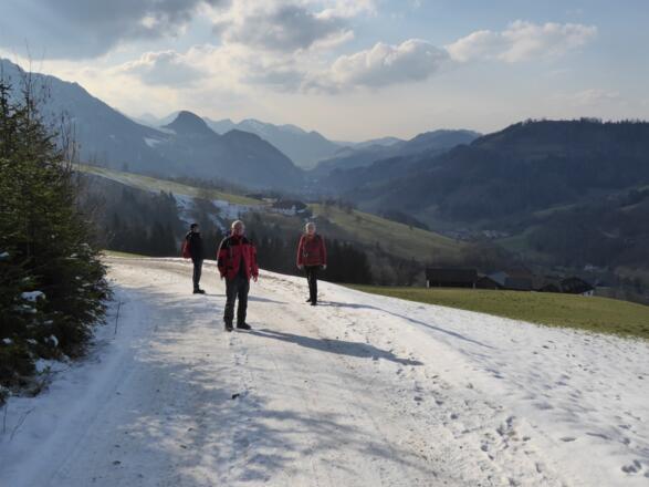 immer wieder schöne Blicke ins Stiedelsbachtal und Ennstal