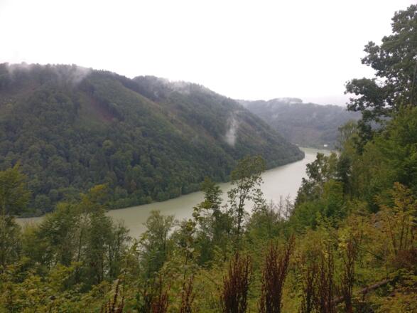 Donau