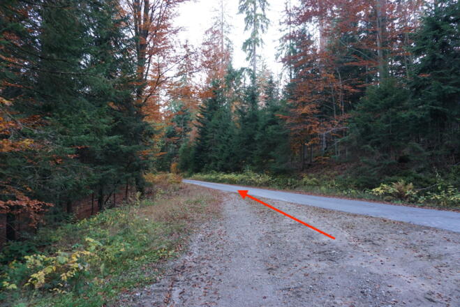 Straße nach Schachtenbach