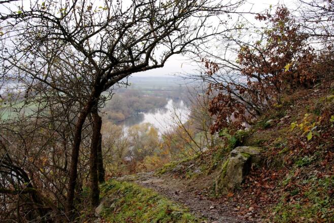 Steig im mittleren Teil des Anstiegs