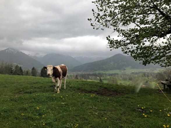 Blick ins Leitzachtal mit Fischbachau und den Schlieseer Bergen im Hintergrund