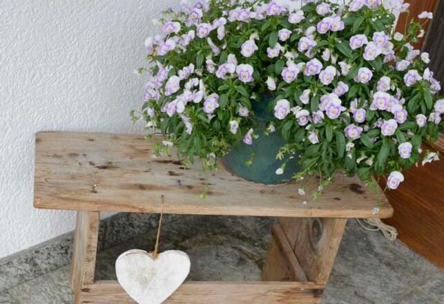 Aussenansicht im Sommer